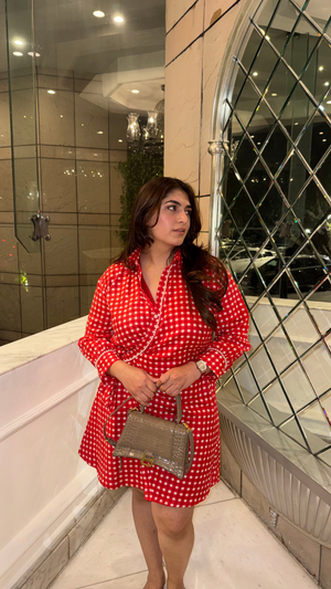 Red Gingham Shirt Dress